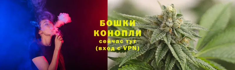 Каннабис индика  Северодвинск 